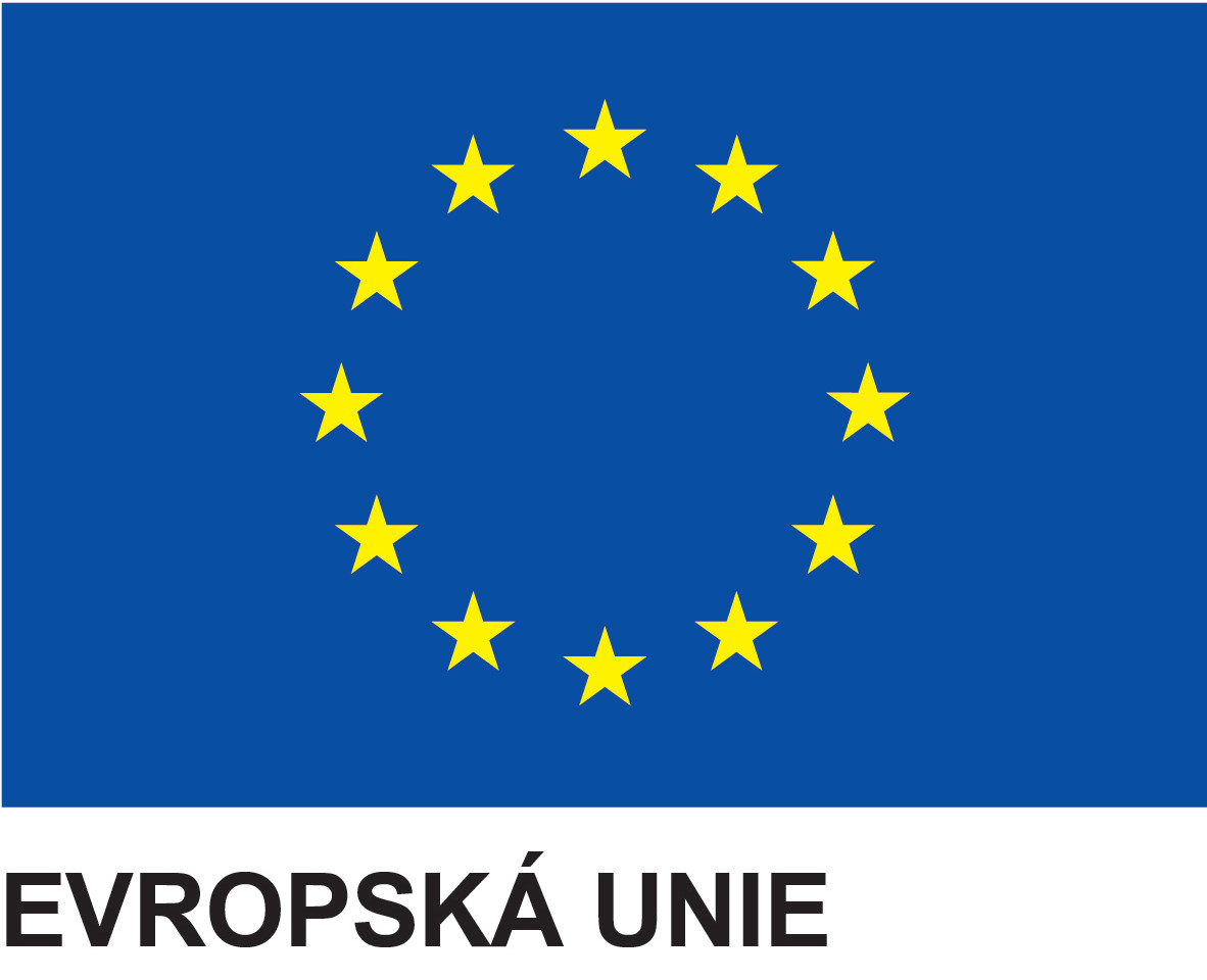 Vlajka Evropské unie_CZ.jpg